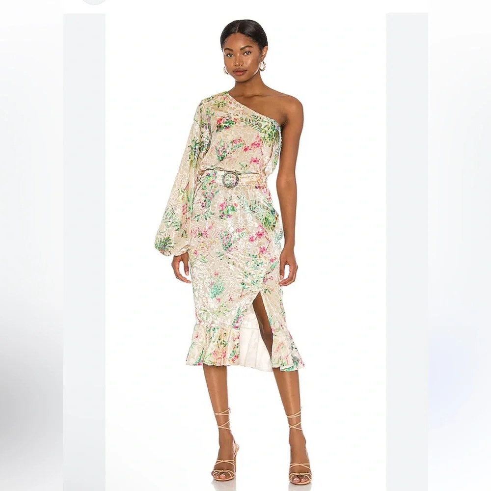 Hemant & Nandita Zaina One Shoulder Velvet Floral Dress Revolve Small